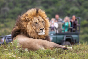 eastern cape lodges
