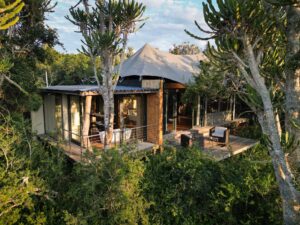 eastern cape lodges